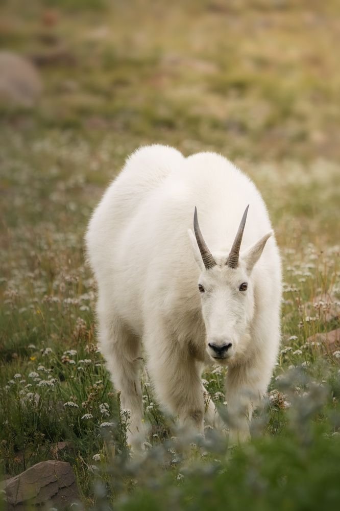 Photograph by Victoria Harris