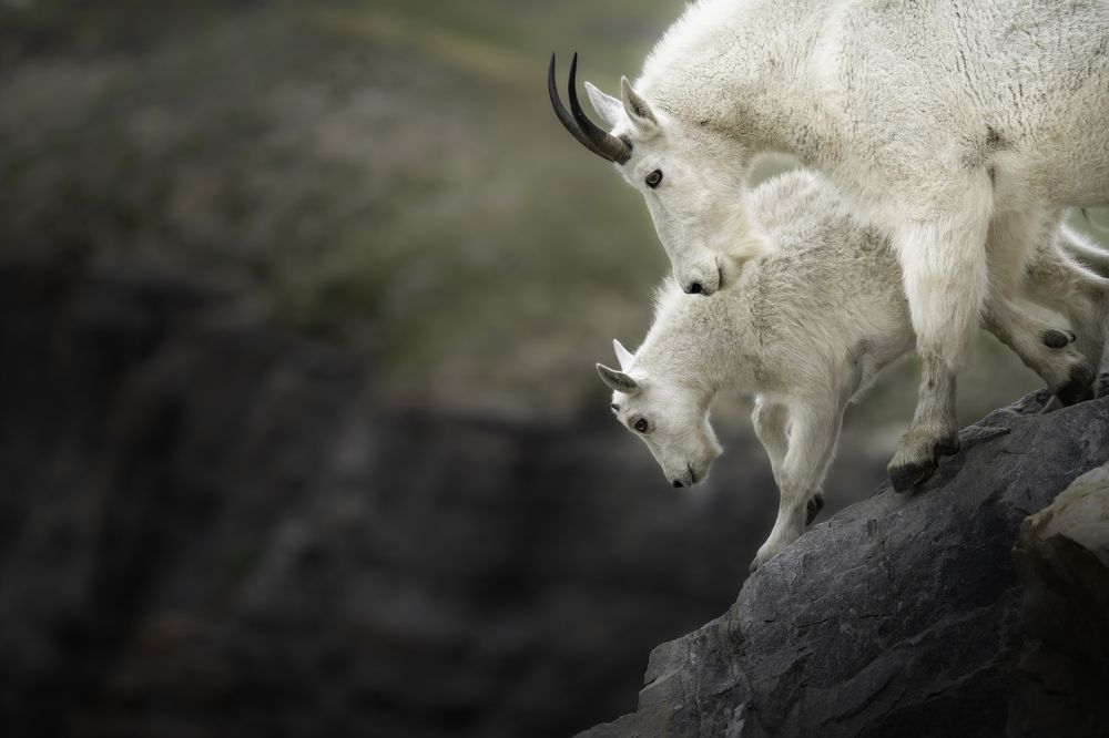 Photograph by Victoria Harris