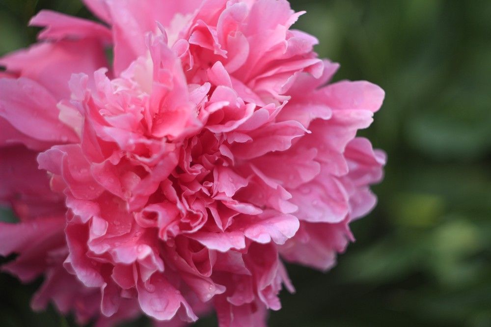 Photograph by Андрей Шрайнер