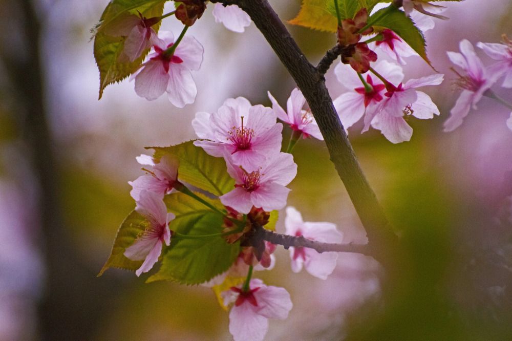 Photograph by Анна Васильева