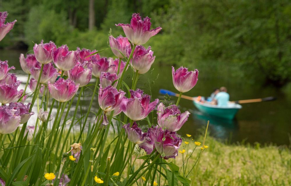 Photograph by Анна Васильева