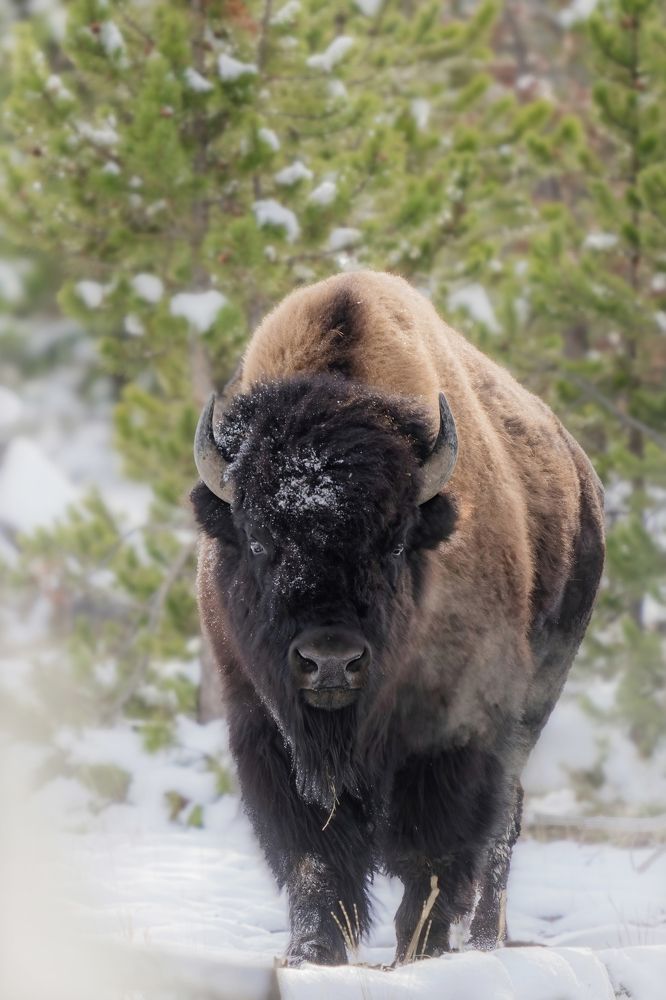 Photograph by Victoria Harris