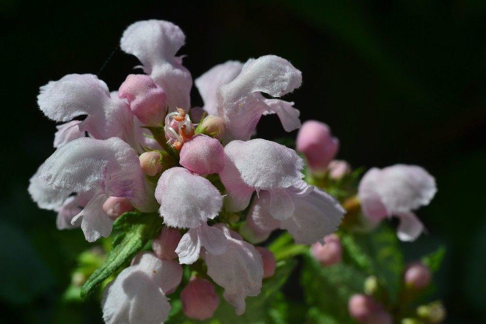 Photograph by Olga Mishenina