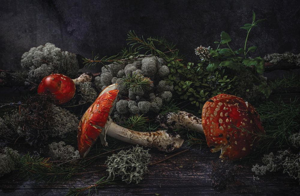 Photograph by Галина Мозолевская