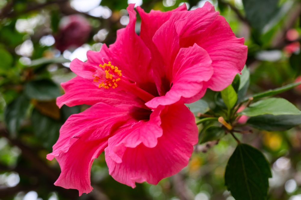 Photograph by Сергей Аверченко