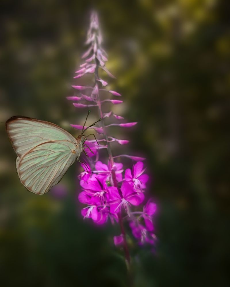 Photograph by Люда Яковлева