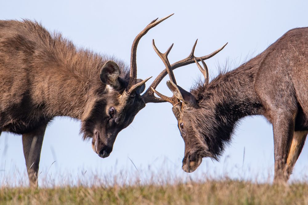 Photograph by Namina Wijetunga