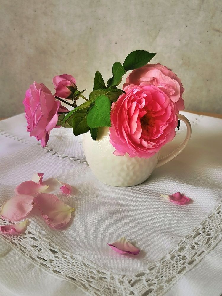 Photograph by Светлана Смирнова