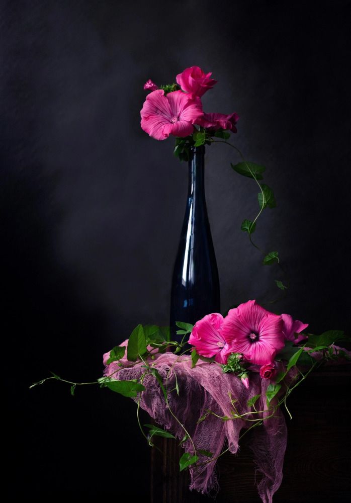 Photograph by Александра