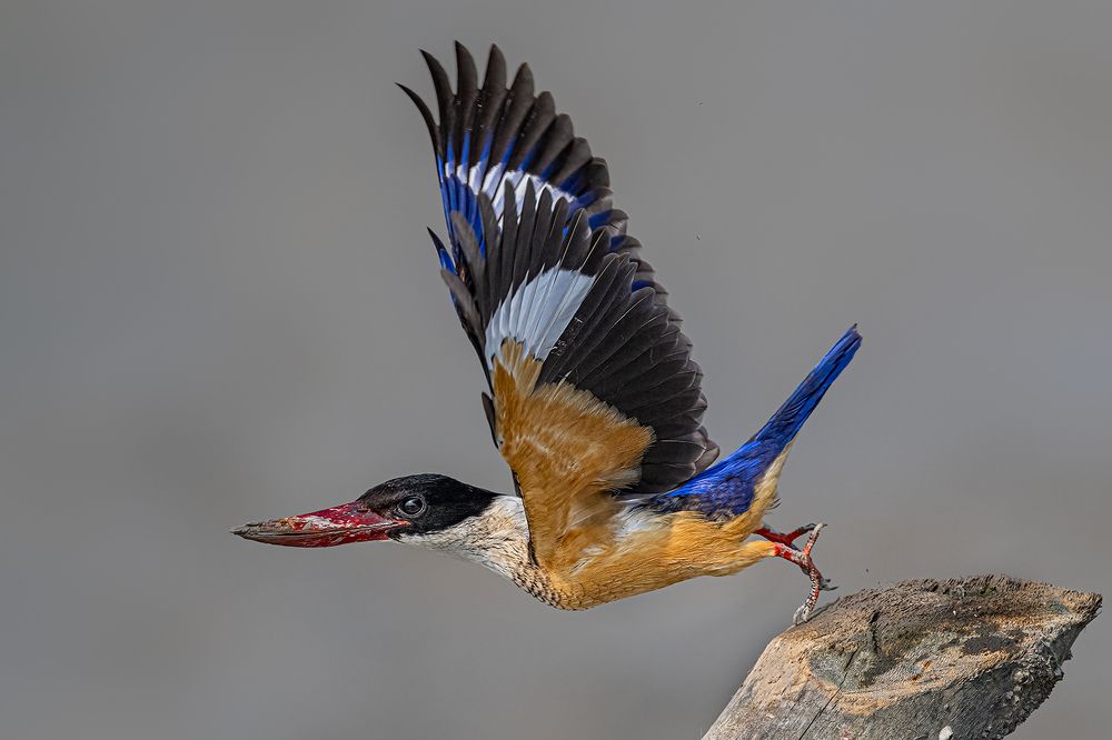 Photograph by Sandeep Dutta