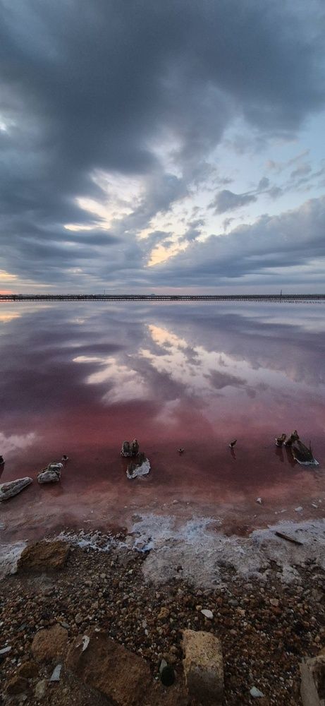 Фотография автора Ольга Мусина