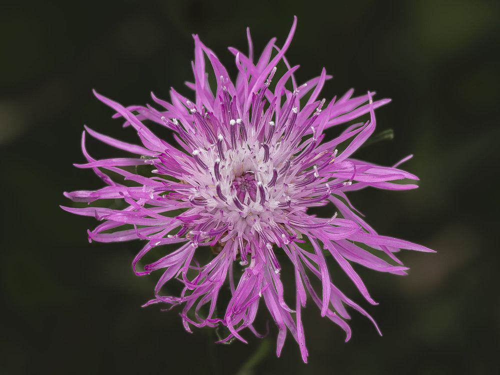 Photograph by Борис Полтавец