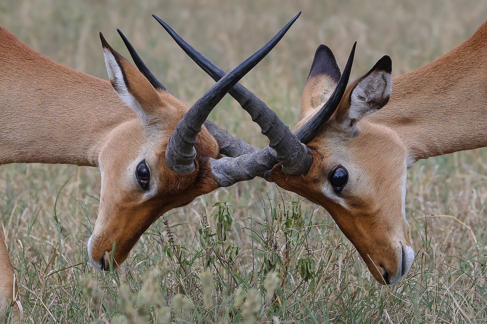 Фотография автора clara mur