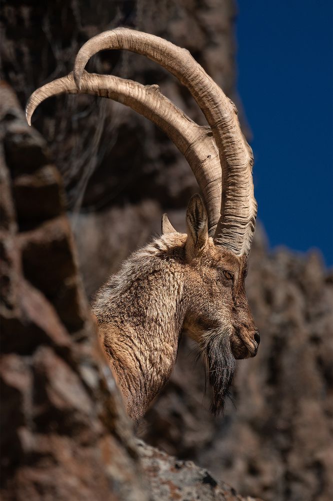 Stay on Rocks, Not on Walls.