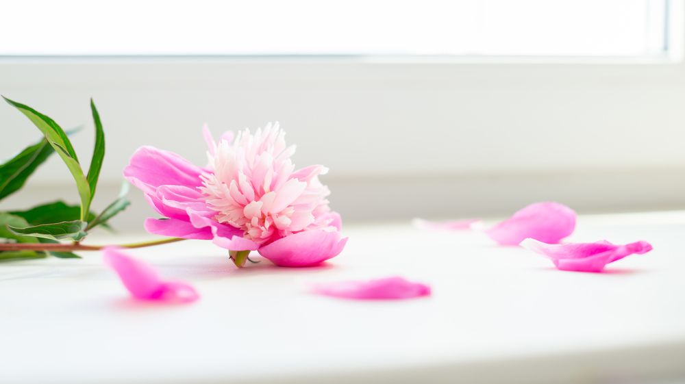 Photograph by Дана Трубиньш