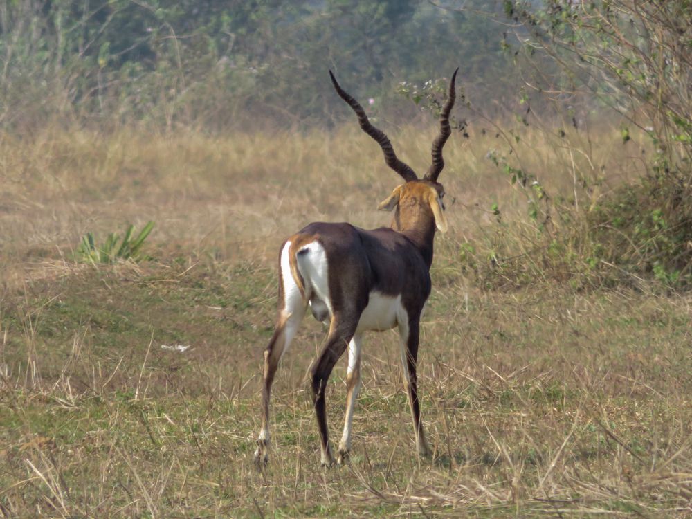 Photograph by Susmita Paul