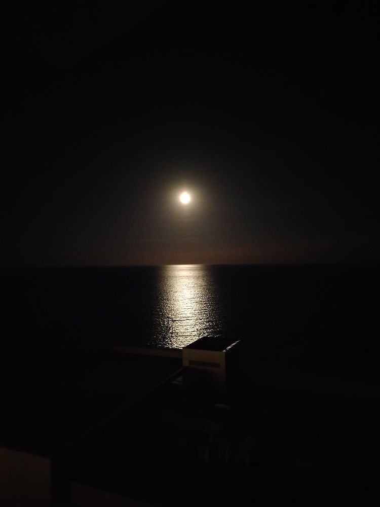 Photograph by Зульфия Набиуллина