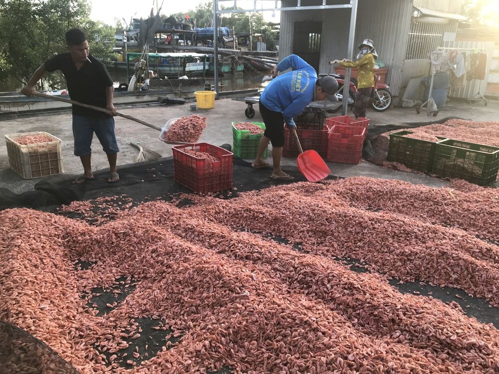 Photograph by HIEU LIEM DO