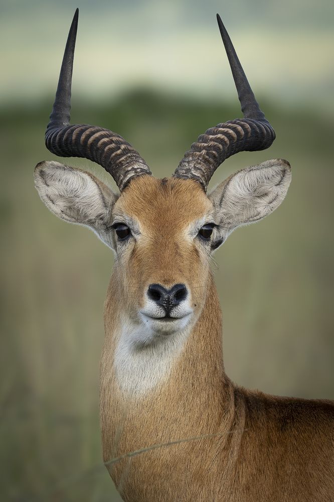 Фотография автора clara mur