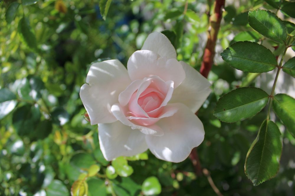 Photograph by Olga Bagaeva