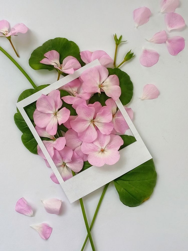 Фотография автора Татьяна Шахова