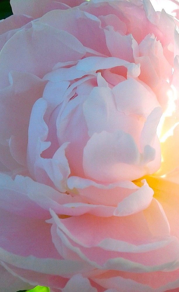 Photograph by Ирина Орлова