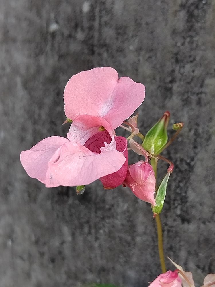 Photograph by Татьяна