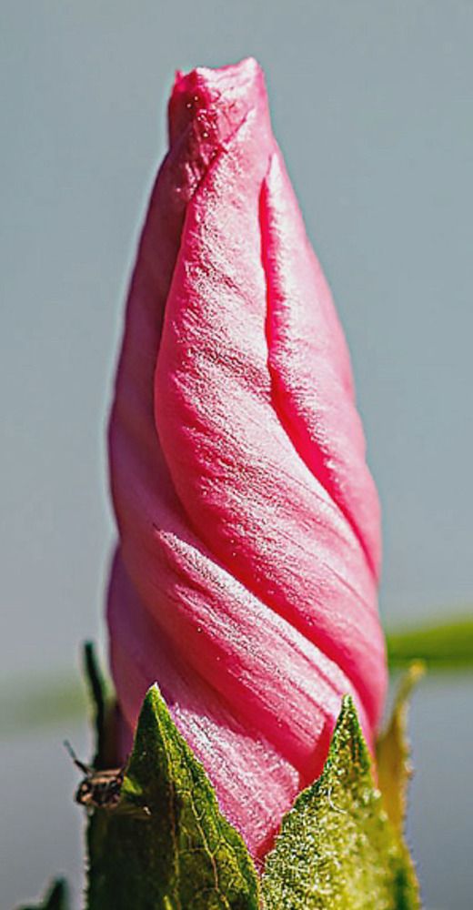 Photograph by Ольга Чибисова