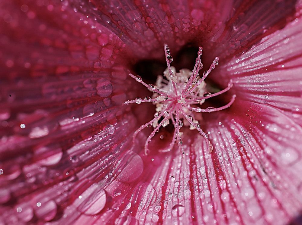 Photograph by Ольга Чибисова