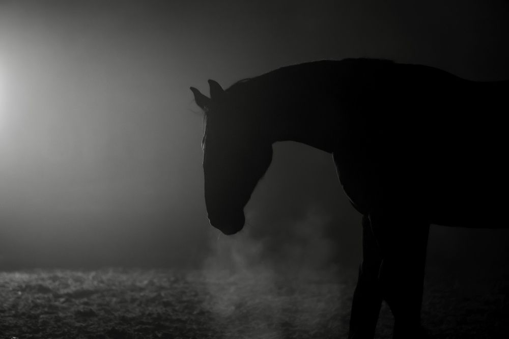 Photograph by Kasia Akerman