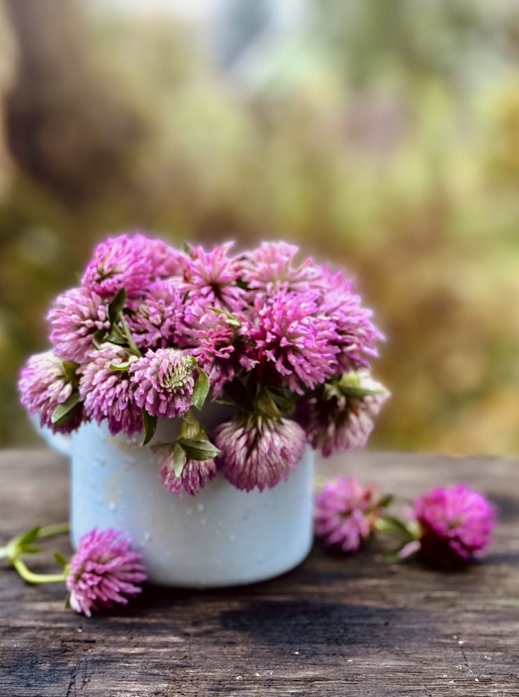 Фотография автора Evgeniya Ivanova