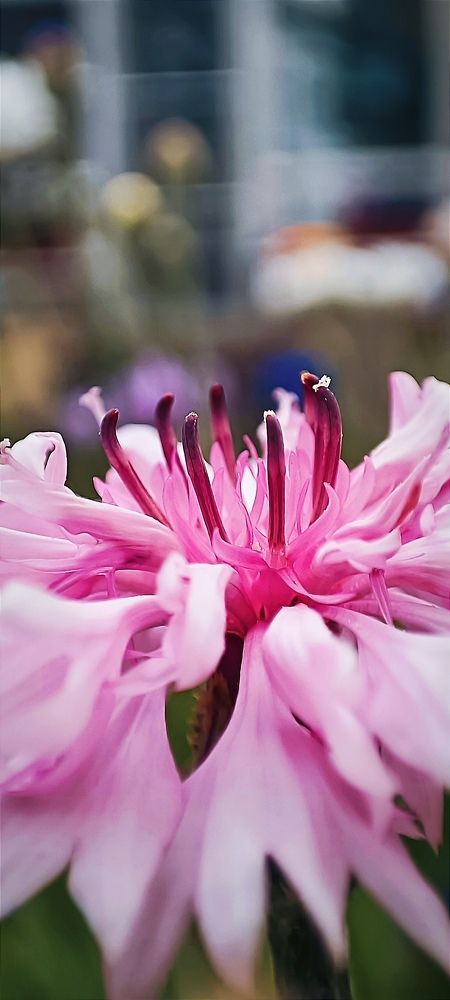 Photograph by Ульяна Северинова