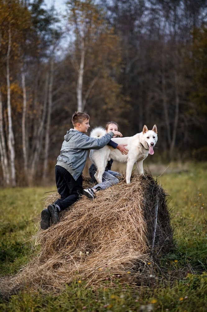 Photograph by Ульяна Ефремова