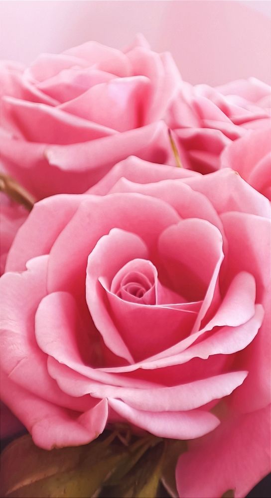 Photograph by Ульяна Северинова