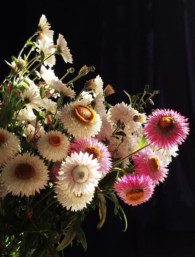 Photograph by Ольга Бондаренко