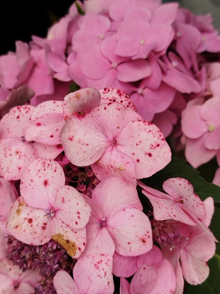 Photograph by Ольга Бондаренко