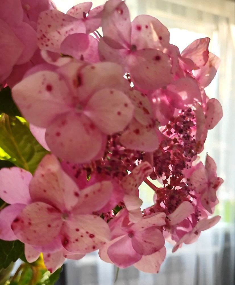 Photograph by Ольга Бондаренко