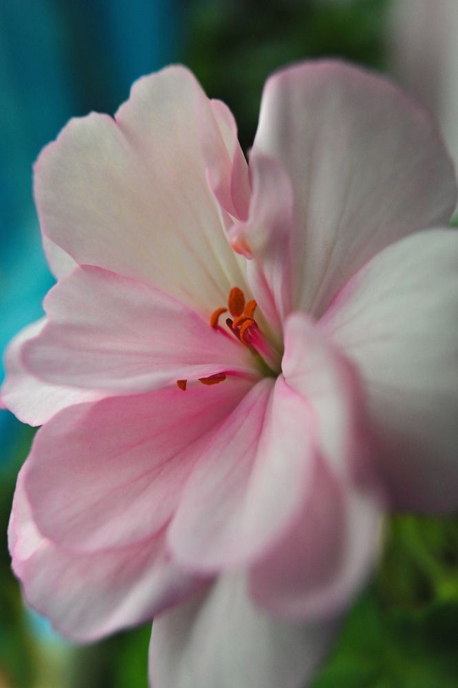 Фотография автора Екатерина Высоцкая