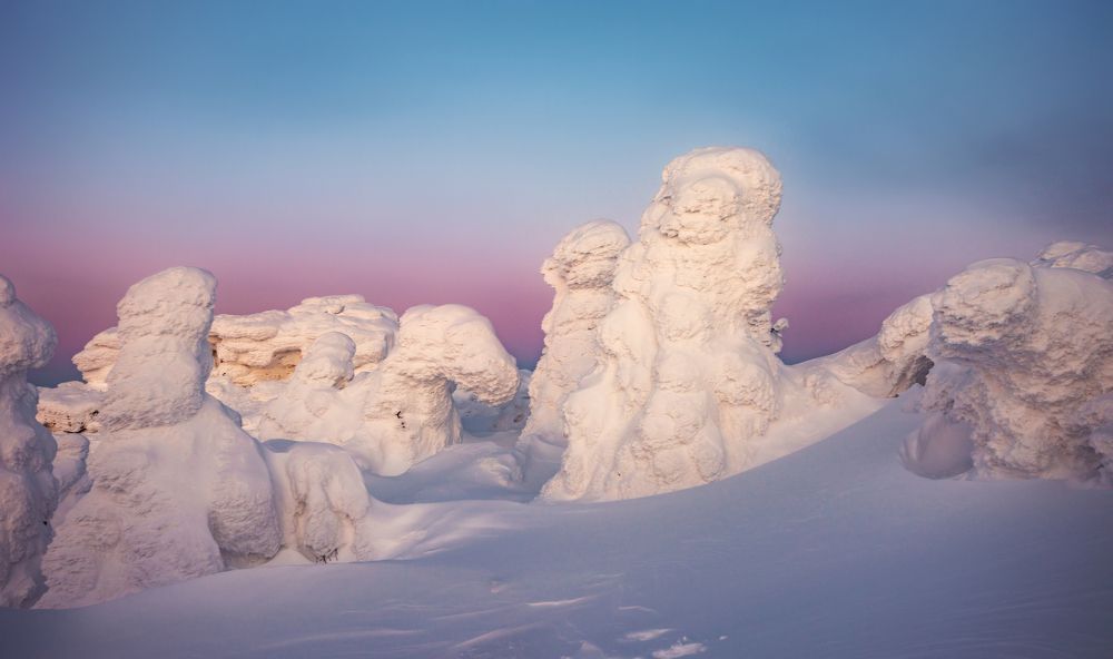 Photograph by Соколова Елена