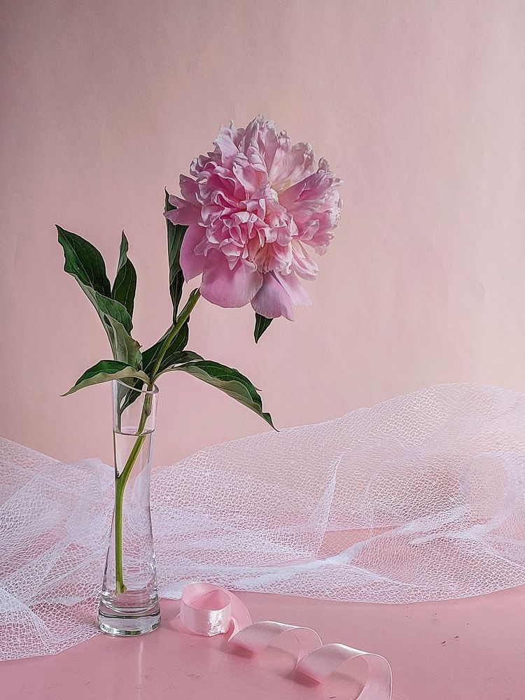 Photograph by Наталия Дроздова