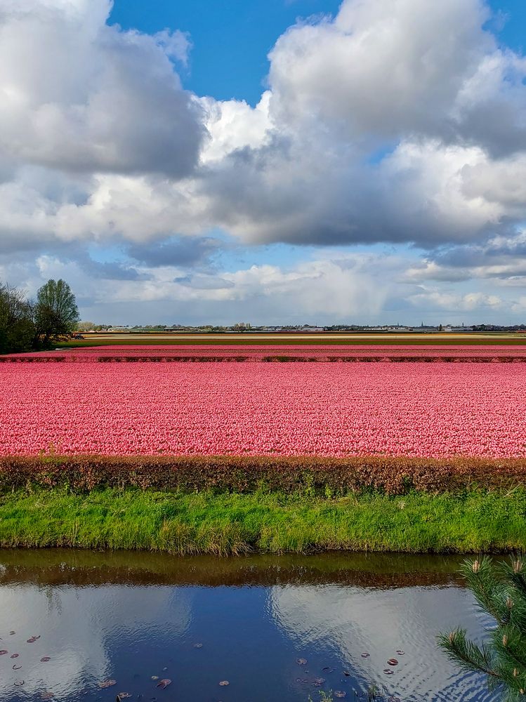 Photograph by Наталия Дроздова