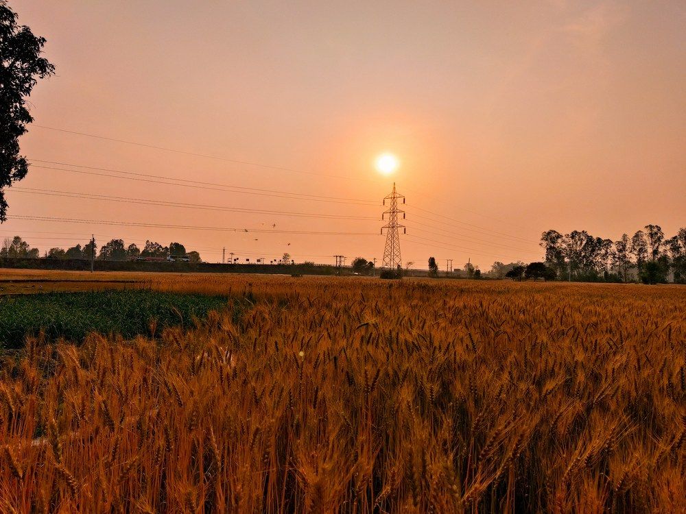 Sunset