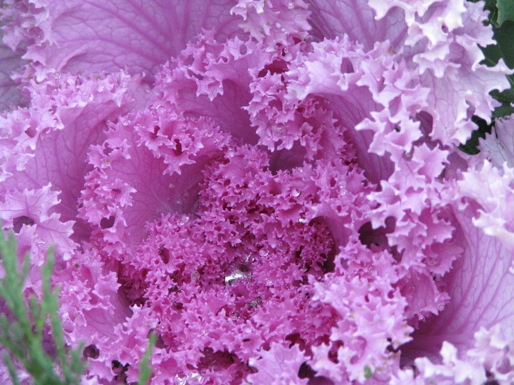 Photograph by Марина Константинова