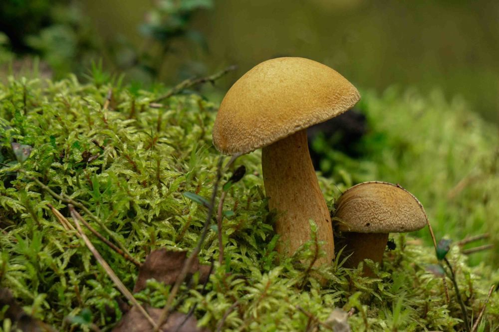 Photograph by Дарий Остахов