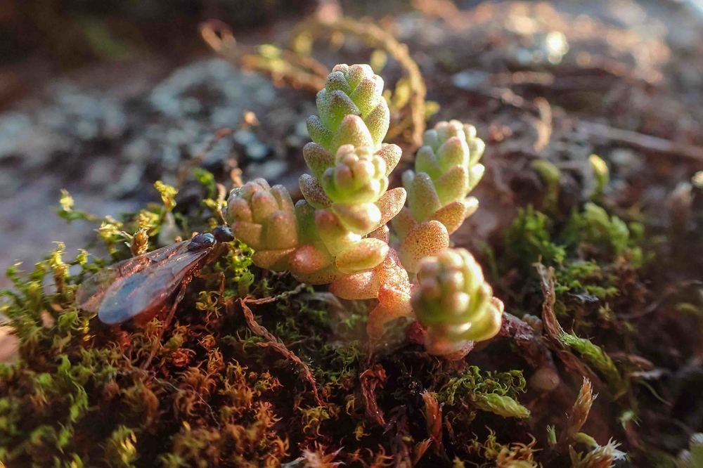 Photograph by Дарий Остахов