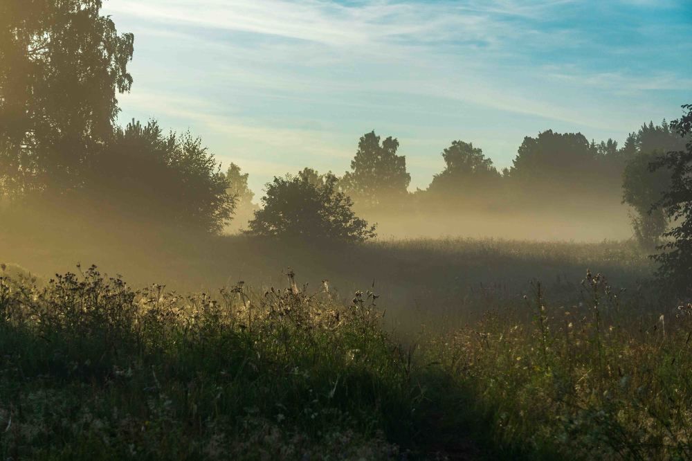 Photograph by Дарий Остахов