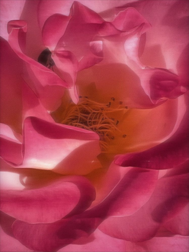 Photograph by Ekaterina Vinogradova