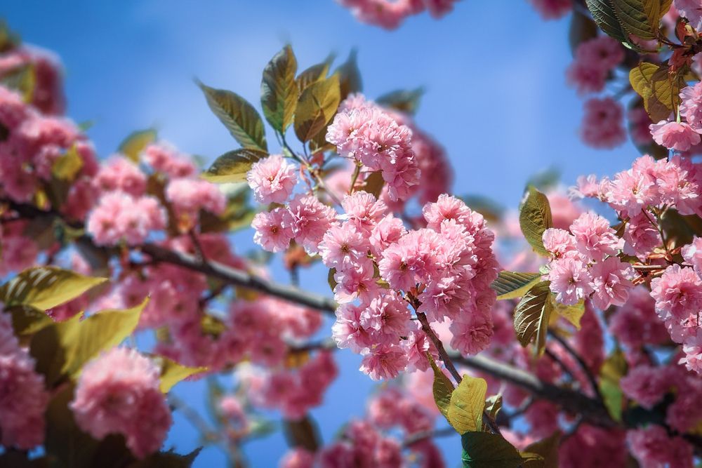 Photograph by Элен Пройс