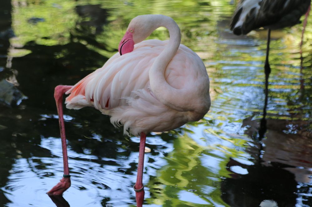 Photograph by Nadzeya