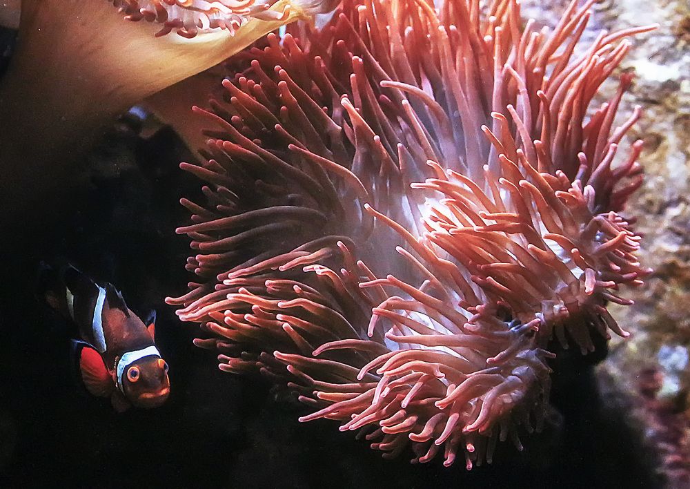 Фотография автора Александр